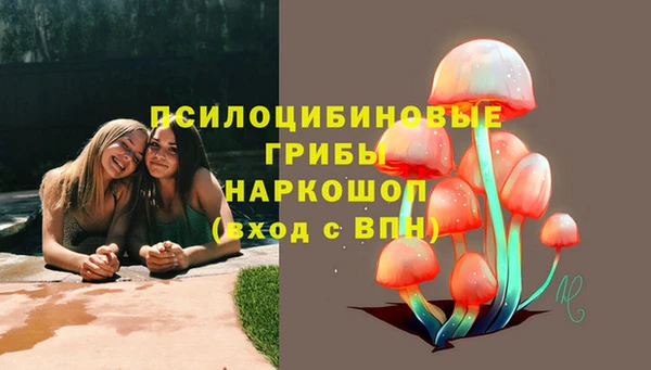 Альфа ПВП Елизово