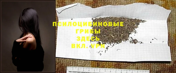 твердый Ельня
