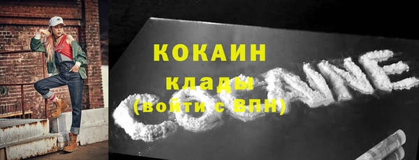 твердый Ельня