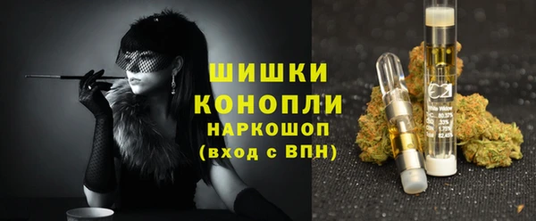 твердый Ельня