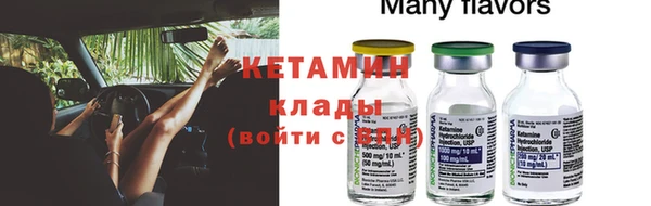 молекула духа Туринск