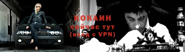 твердый Ельня