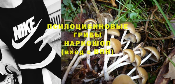 mdma Елабуга