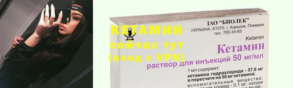 твердый Ельня