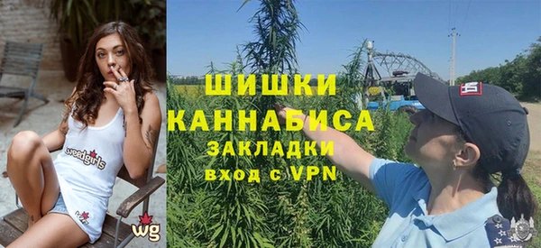 твердый Ельня