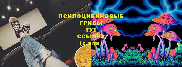 Альфа ПВП Елизово