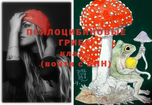 твердый Ельня