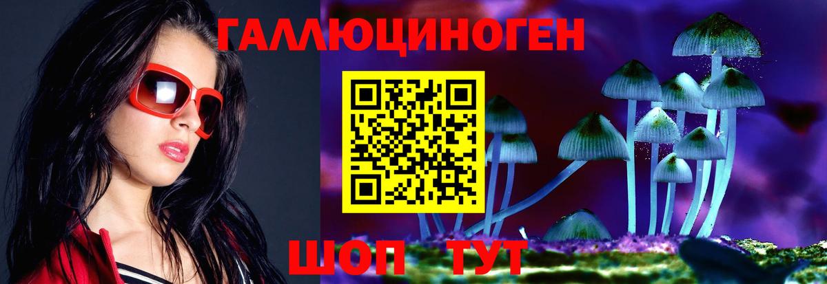 Галлюциногенные грибы мицелий  Горячий Ключ 